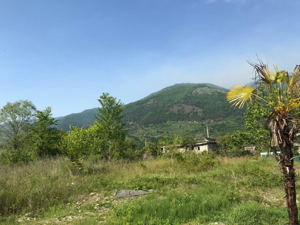 Ainar Hotel Gagra Exterior foto