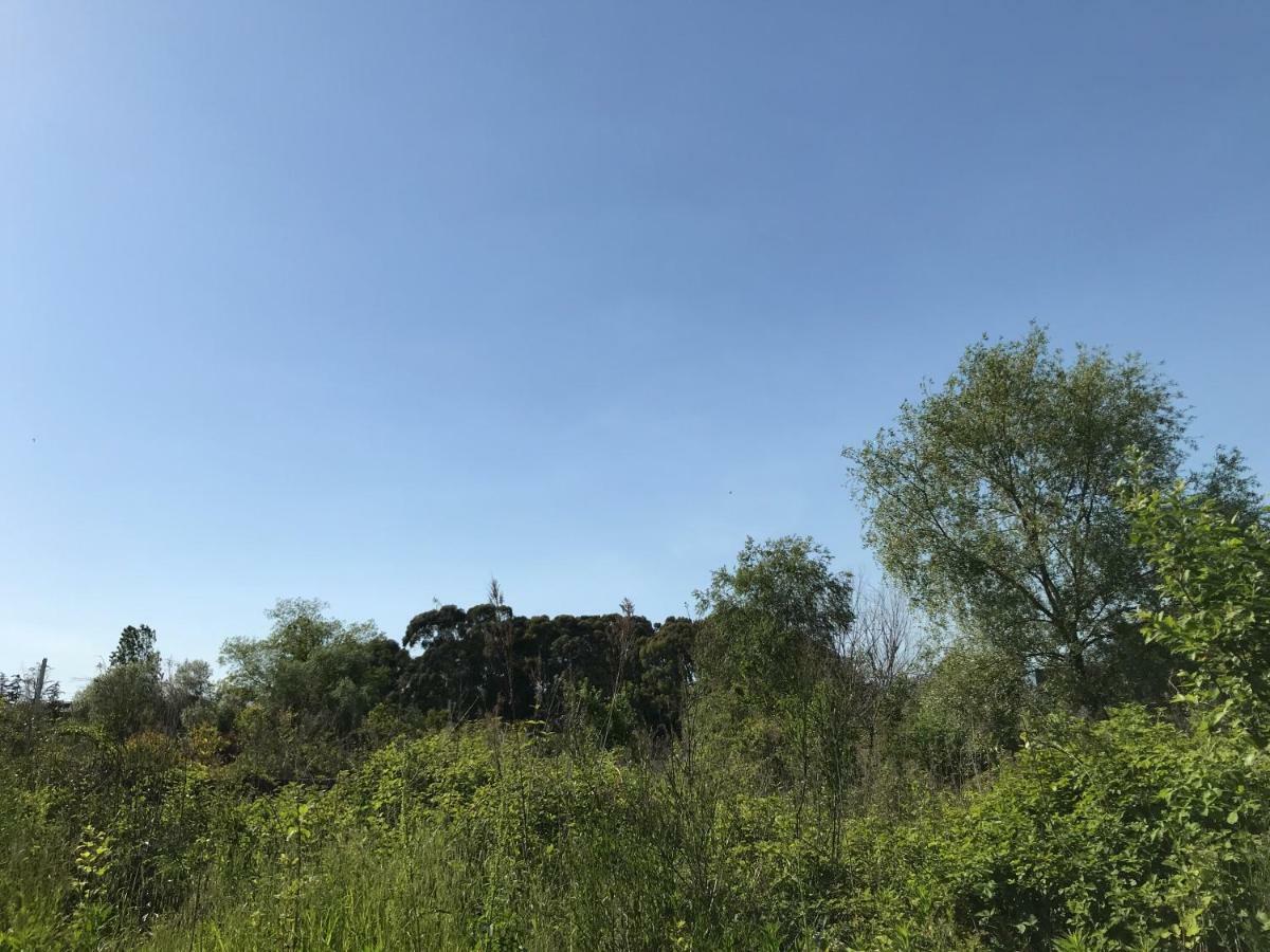 Ainar Hotel Gagra Exterior foto